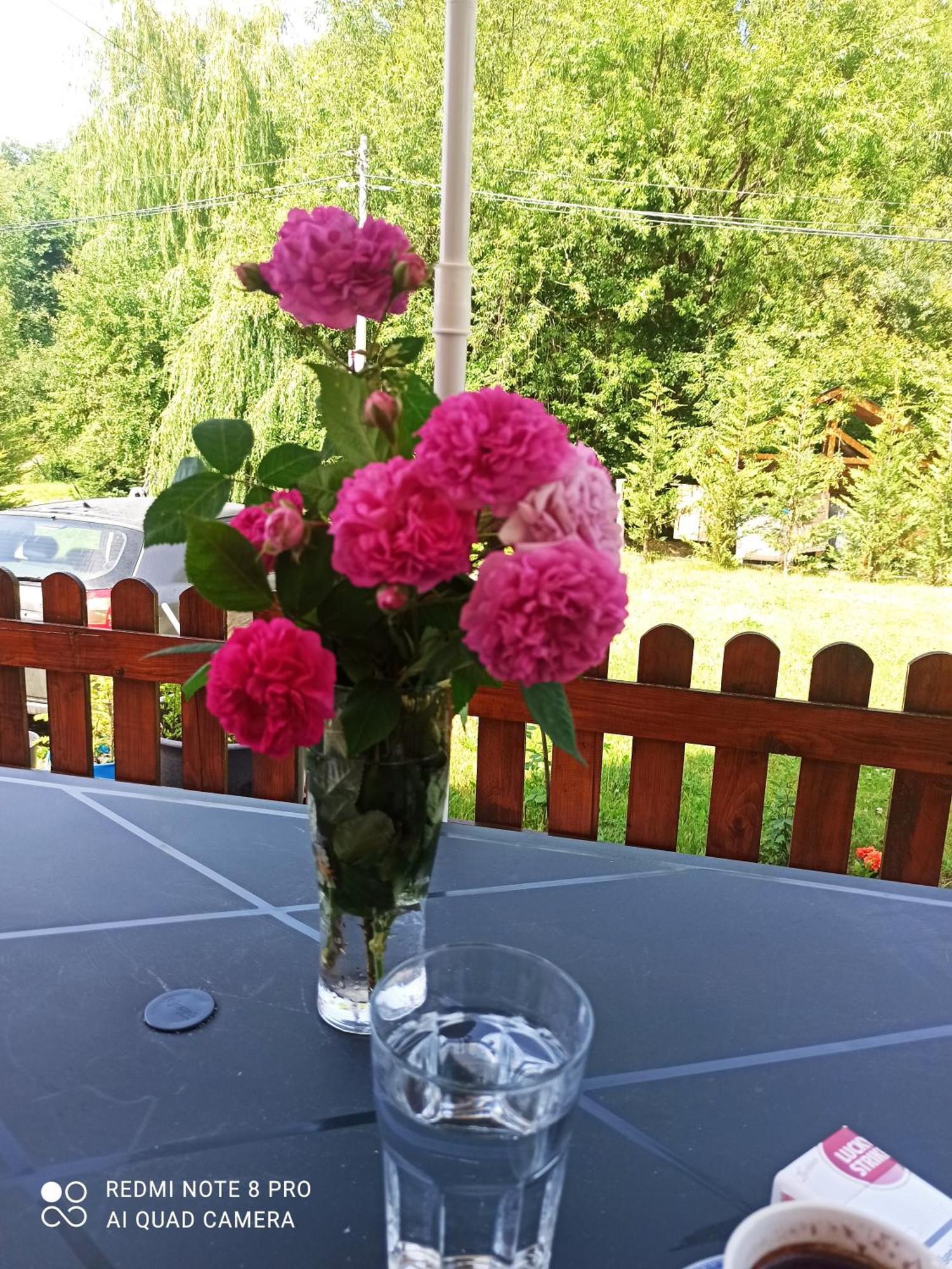 Holiday Home Ivana Kolašin Esterno foto