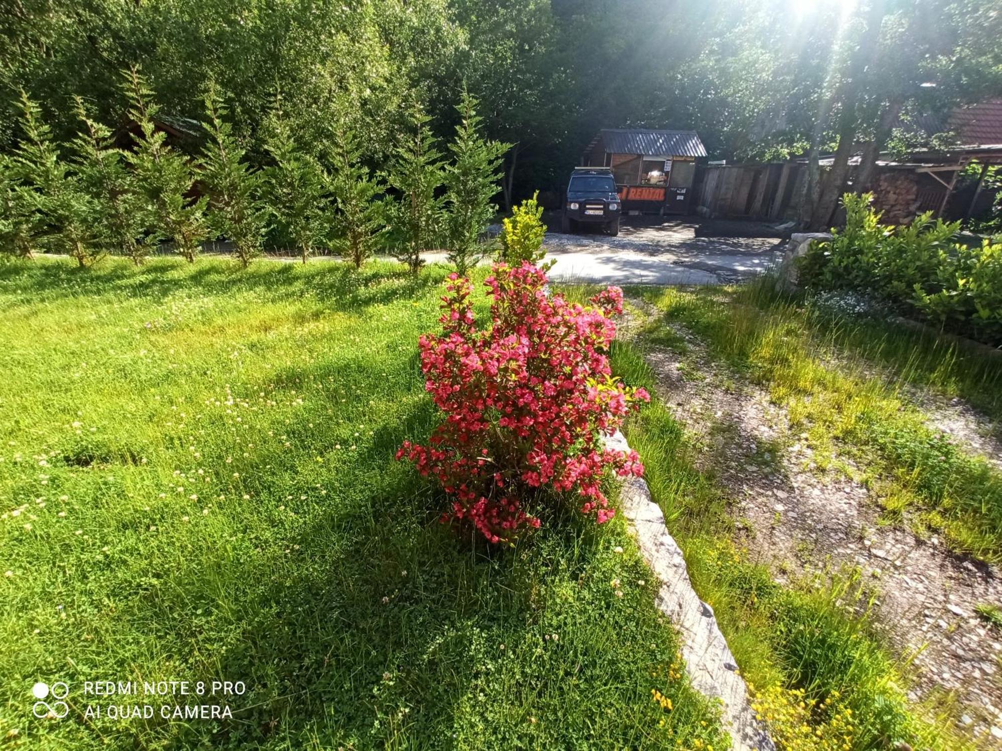 Holiday Home Ivana Kolašin Esterno foto